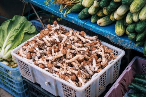 芒市吃瓜最新事件爆料,揭秘背后惊人真相 第3张 芒市吃瓜最新事件爆料,揭秘背后惊人真相 第3张